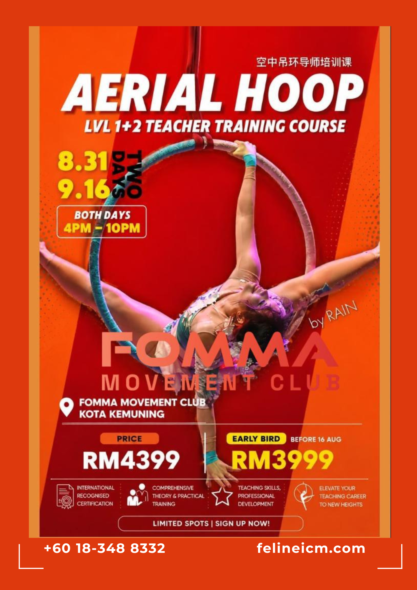Aerial Hoop Teacher Training